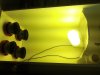 lights on.jpg