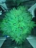 IMG_20131027_085320.jpg