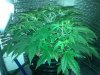 IMG_20131027_085405.jpg