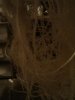 IMG_20131027_111854.jpg