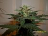 day 48 pic 4.jpg