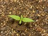 Progress update