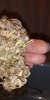 IMG_20230126_170822.jpg