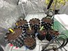 IMG_6667.jpeg IMG_6667.jpeg