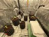 IMG_6681.jpeg IMG_6681.jpeg