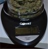 weight2.jpg