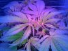 IMG_20131030_101846.jpg