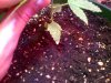 IMG-20131030-00226.jpg