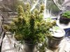20131019_230412_resized_1(1).jpg