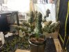 20131029_195804.jpg