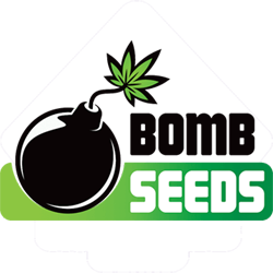 Bomb Seeds