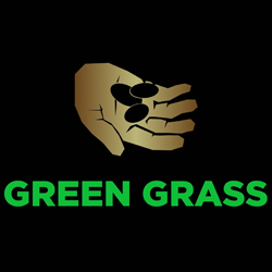 Green Grass Seeds
