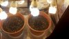 2013-10-31_14-36-26_950.jpg 2013-10-31_14-36-26_950.jpg