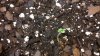 2013-11-01_11-57-16_869.jpg
