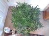20131102_141334.jpg