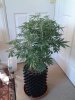 20131102_141349.jpg
