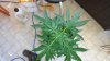 DSC00834.jpg
