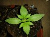 20131103_162548.jpg