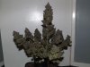 DSCF1186.jpg
