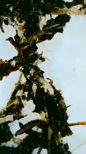 2023_04_02_08_56_33_600.jpg