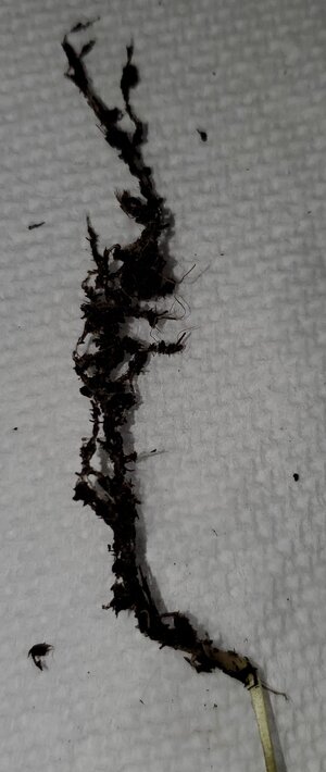 20230402_085217.jpg