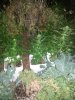 20131104_223223.jpg