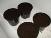 soil level after water.jpg