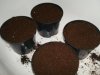 more dry soil.jpg
