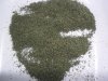 grow 783.jpg