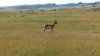 20130830_095358 - Copy.jpg