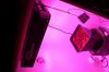 IMG_5485.jpg