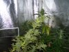 100_3591.jpg