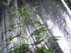 100_3594.jpg