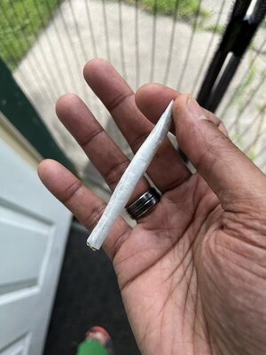 IMG_0381.jpeg