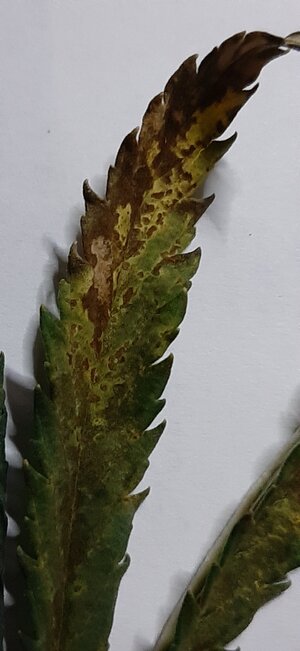 20230527_134411.jpg