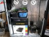 SDC11155.jpg