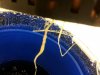20131107_205651.jpg