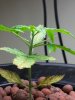 20131108_150114.jpg