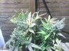 IMG_20131110_140741.jpg