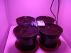growbox.jpg