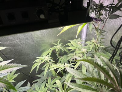 IMG_0571.jpeg IMG_0571.jpeg