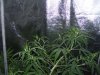 100_3611.jpg