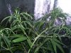 100_3613.jpg