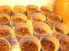 100_3627.jpg