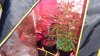 DSC00854.jpg