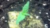 2013-11-15_15-13-17_918.jpg