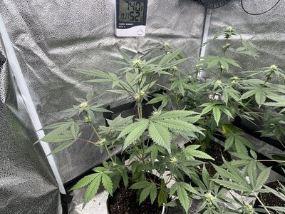 IMG_0751.jpeg