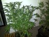 IMG-20131117-00427.jpg