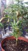 20131116_192044.jpg