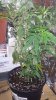 20131116_192330.jpg